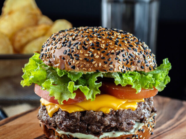 Rechauffer burger airfryer